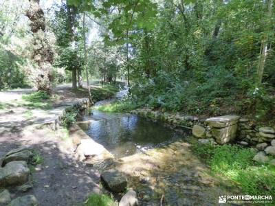 Vuelta al Senderismo-Valle Lozoya; rutas senderismo sierra de gredos parque natural de las sierras s